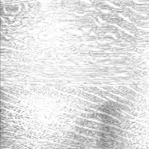 Bundle any 3 Polos for $70